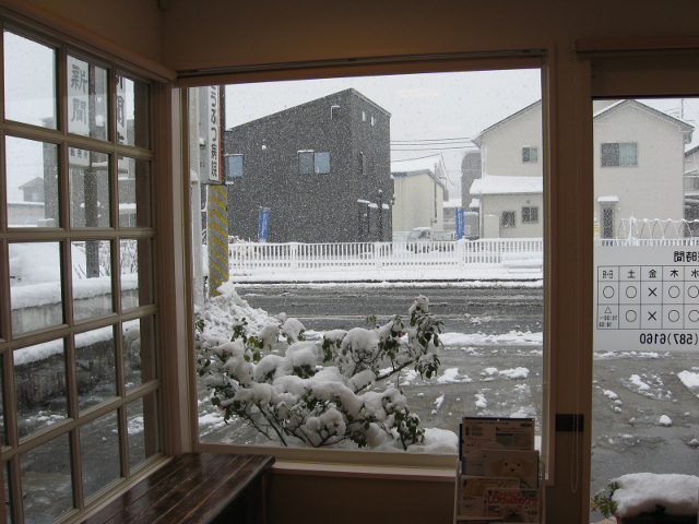 久しぶりの積雪