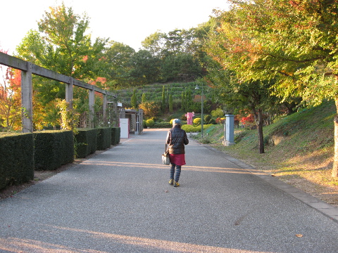 日が傾いてきました